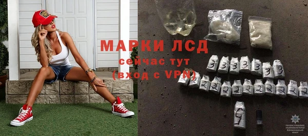 стаф Михайловск